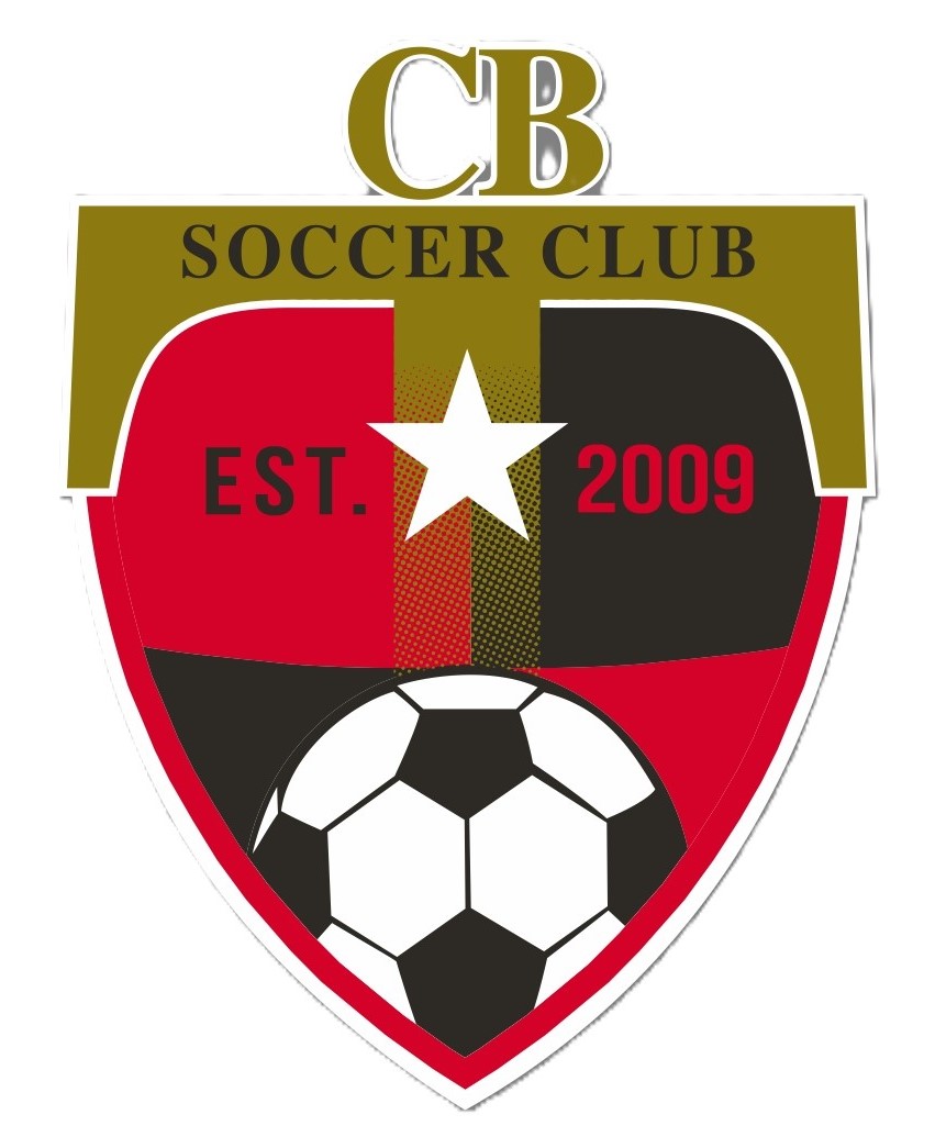 2020 CBSC Woven Crest New Logo PMS Colours